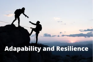 Resilience & Adaptability