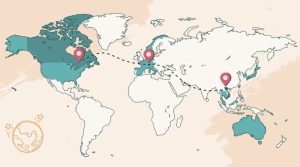 Adaptability Across Borders