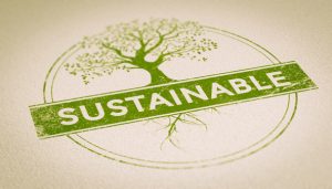 Framework for Sustainable Success